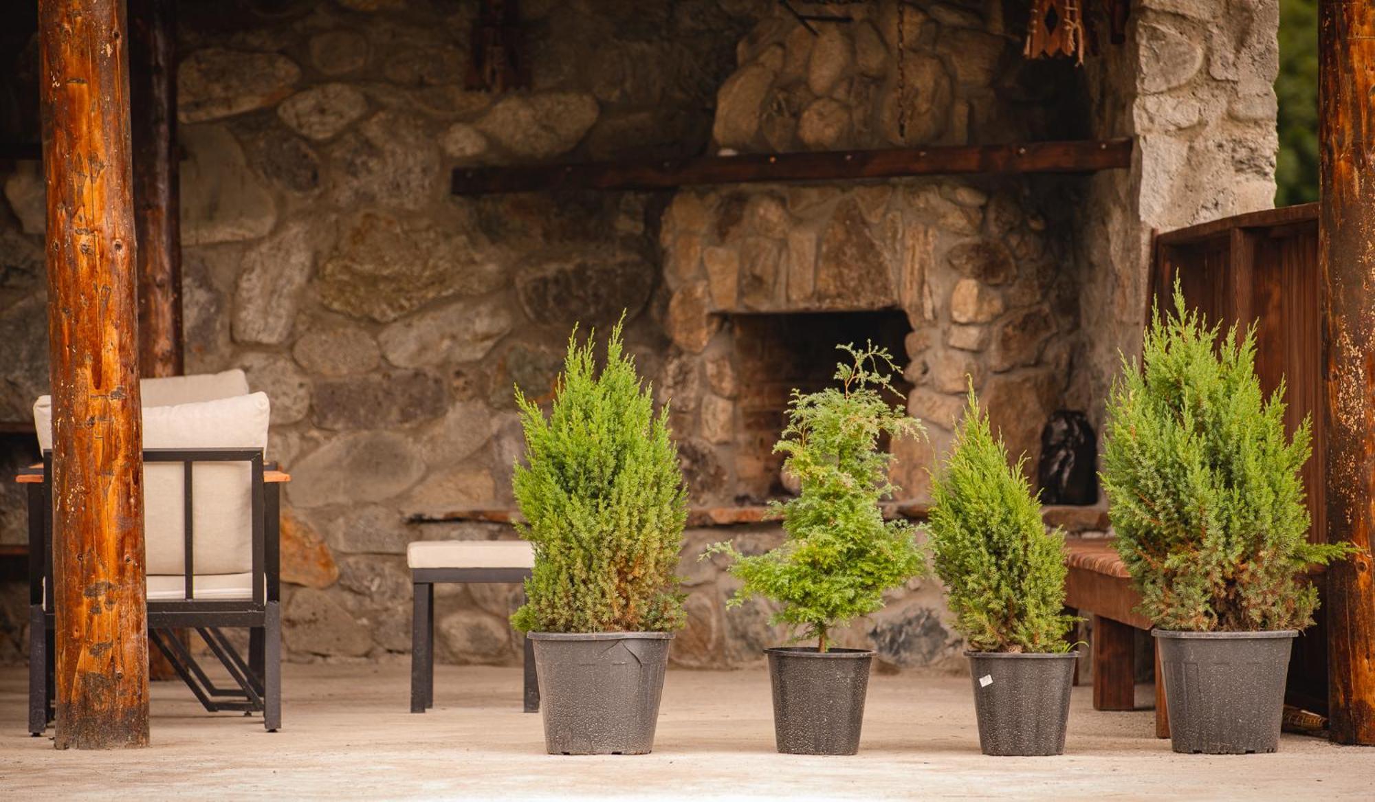 Mestia Villas Exterior photo